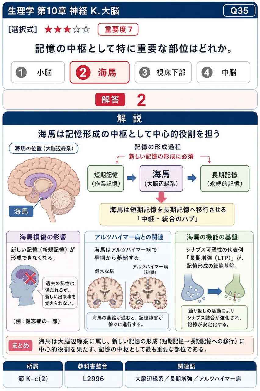記憶の中枢として特に重要な部位はどれか。 解説図