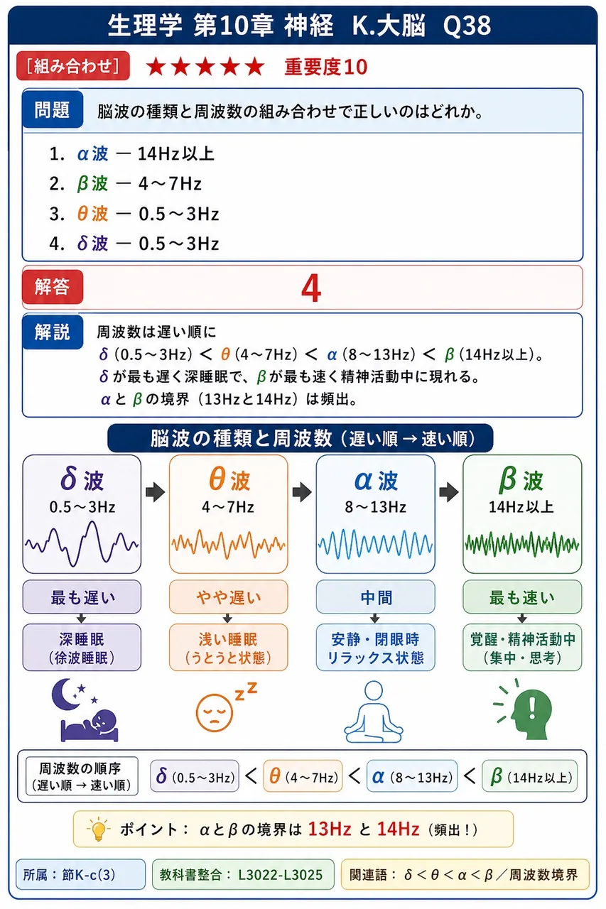 脳波の種類と周波数の組み合わせで正しいのはどれか。 解説図