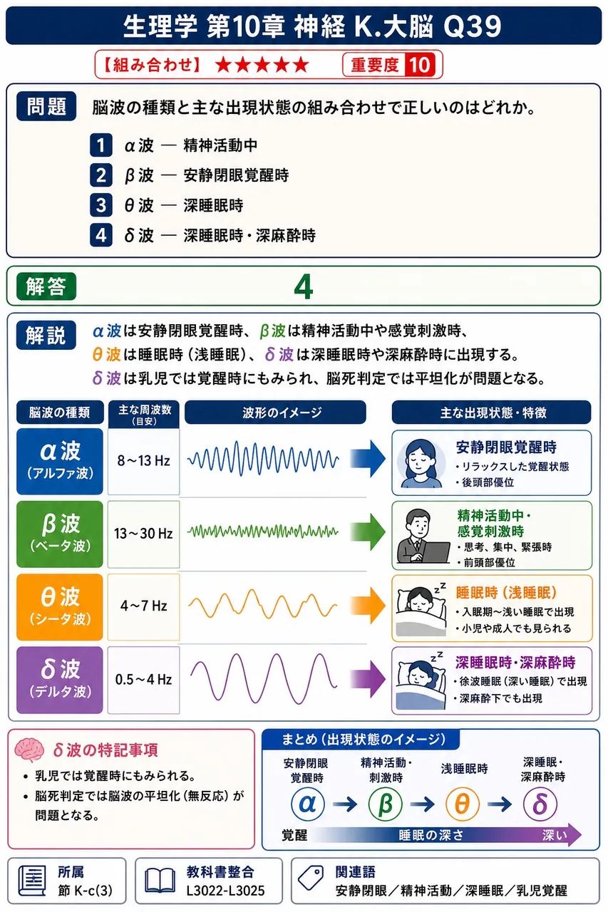 脳波の種類と主な出現状態の組み合わせで正しいのはどれか。 解説図
