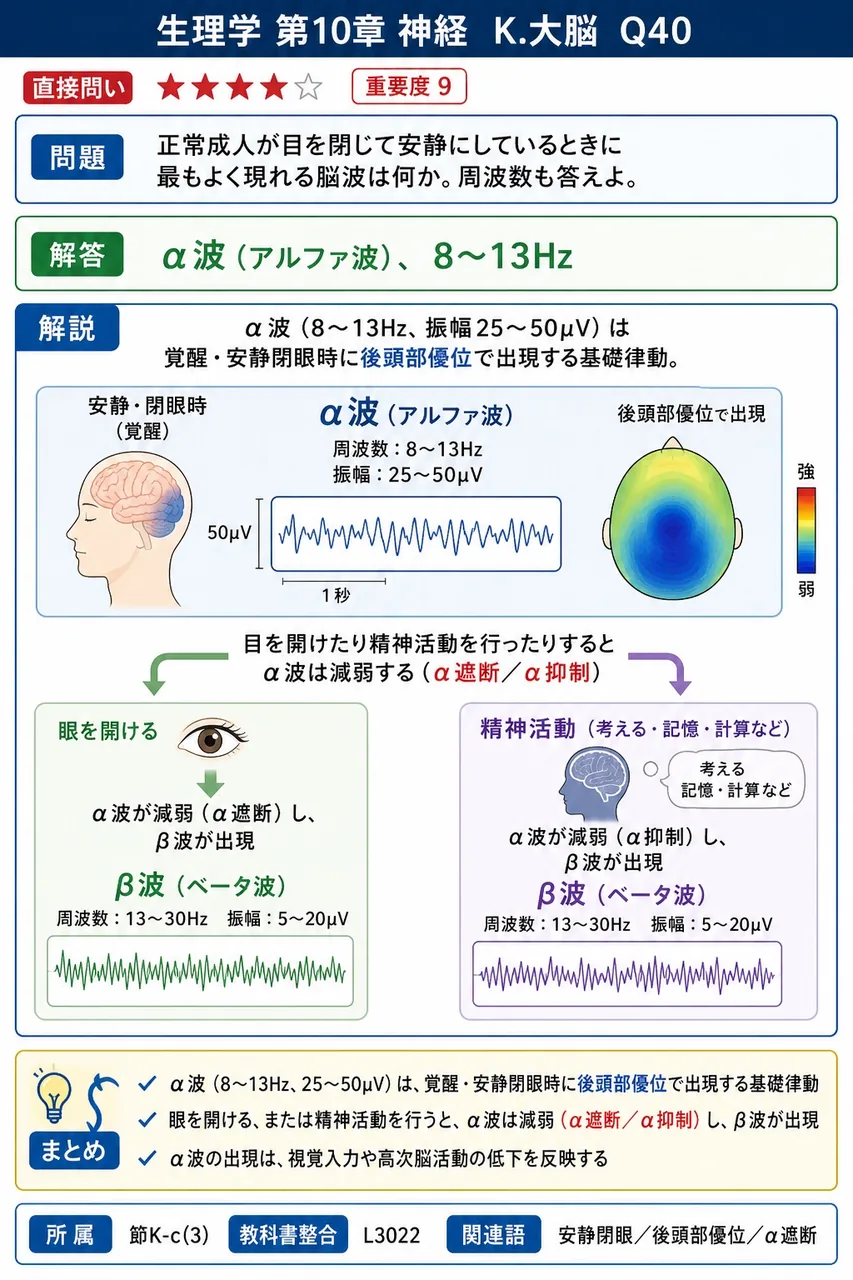 正常成人が目を閉じて安静にしているときに最もよく現れる脳波は何か。周波数も答えよ。 解説図