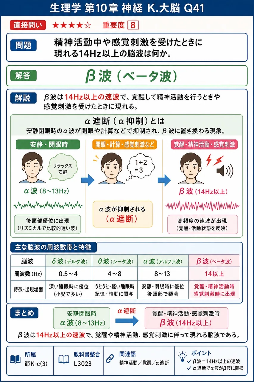 精神活動中や感覚刺激を受けたときに現れる14Hz以上の脳波は何か。 解説図