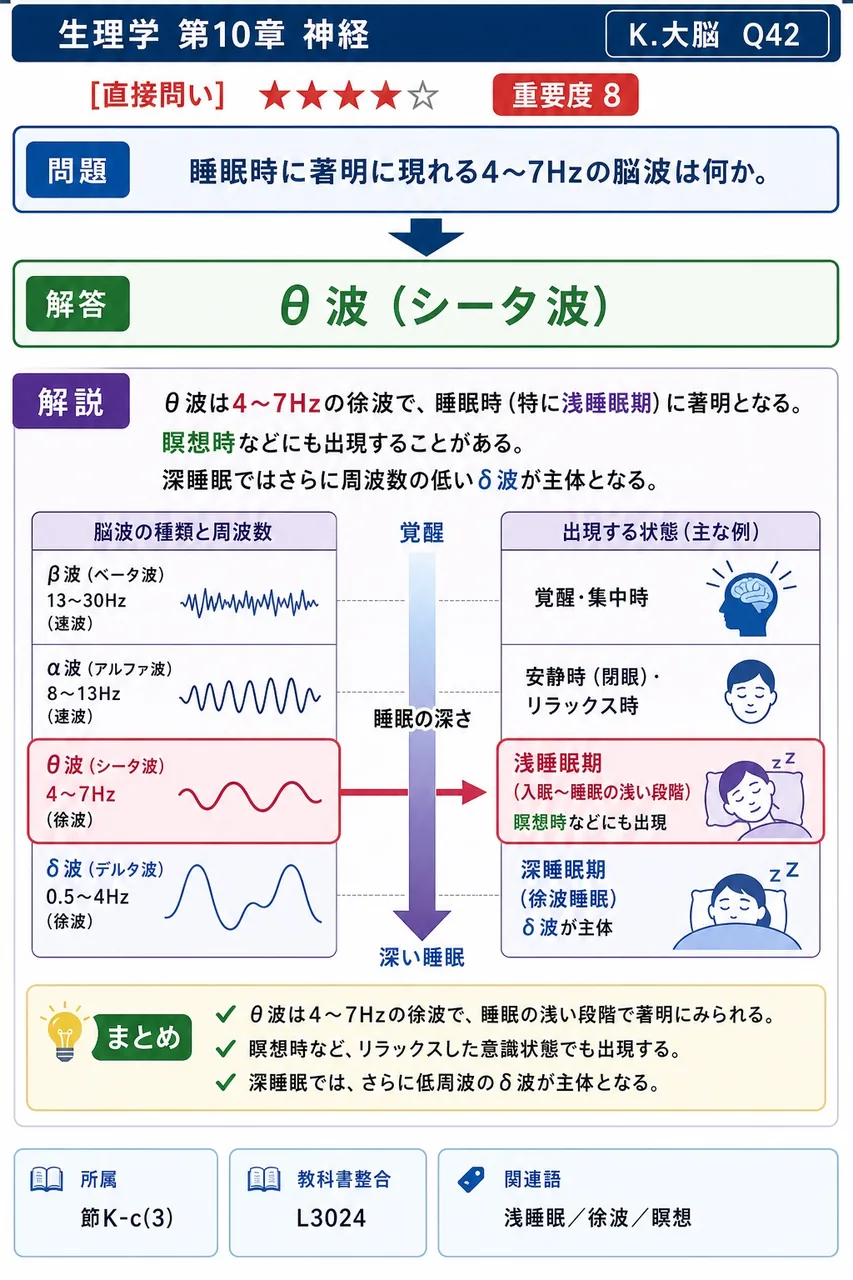 睡眠時に著明に現れる4〜7Hzの脳波は何か。 解説図