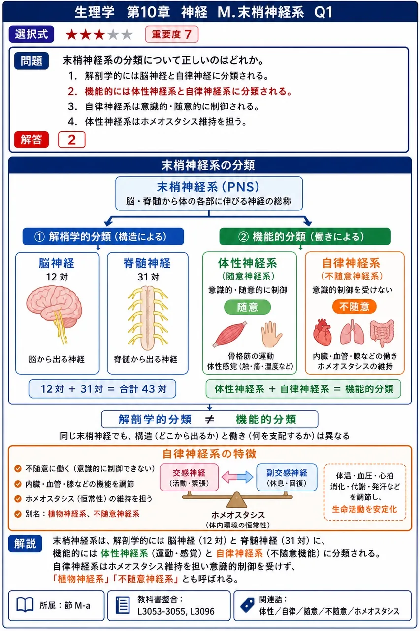 末梢神経系の分類について正しいのはどれか。 解説図