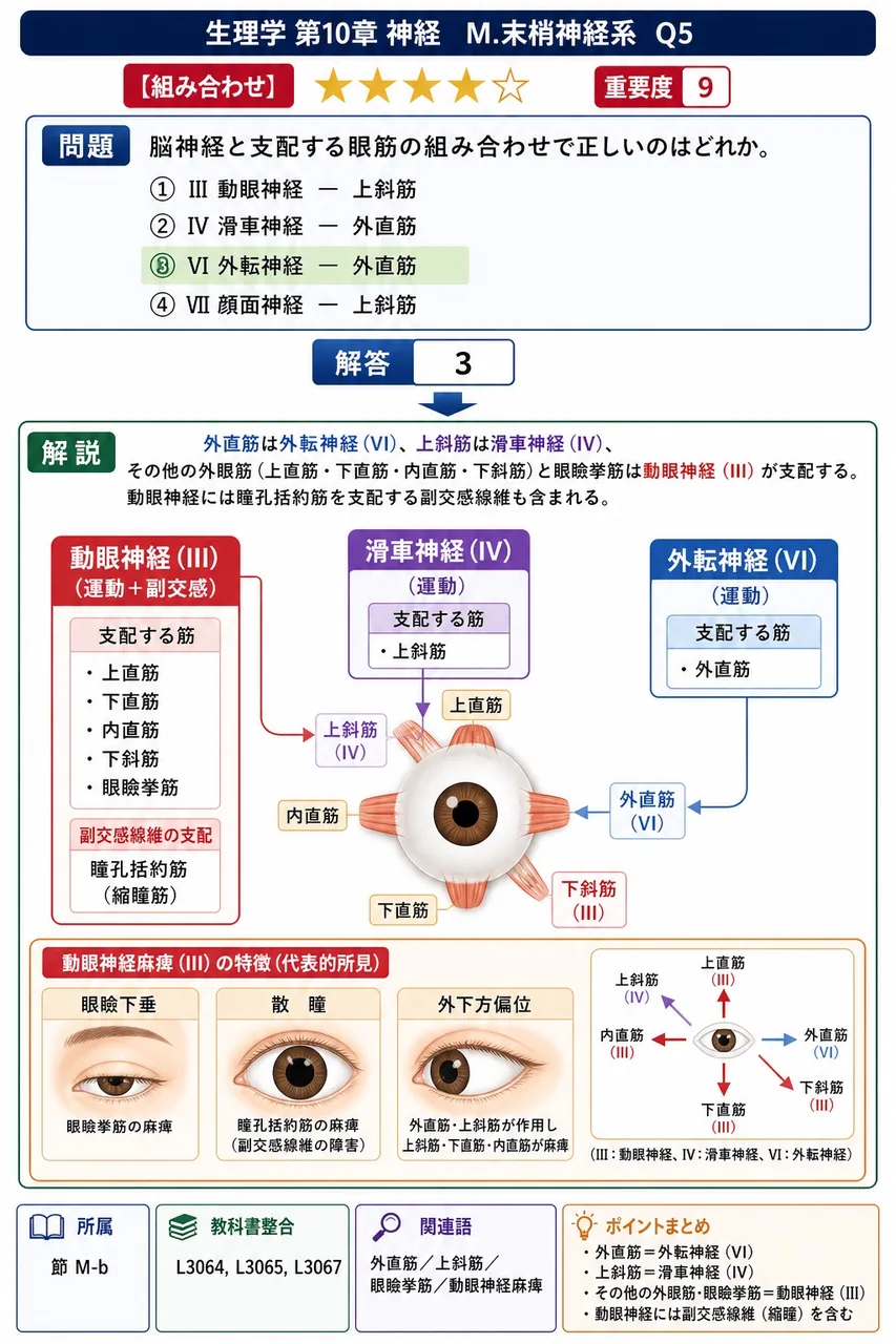 脳神経と支配する眼筋の組み合わせで正しいのはどれか。 解説図
