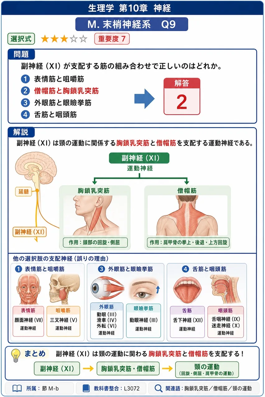 副神経(XI)が支配する筋の組み合わせで正しいのはどれか。 解説図