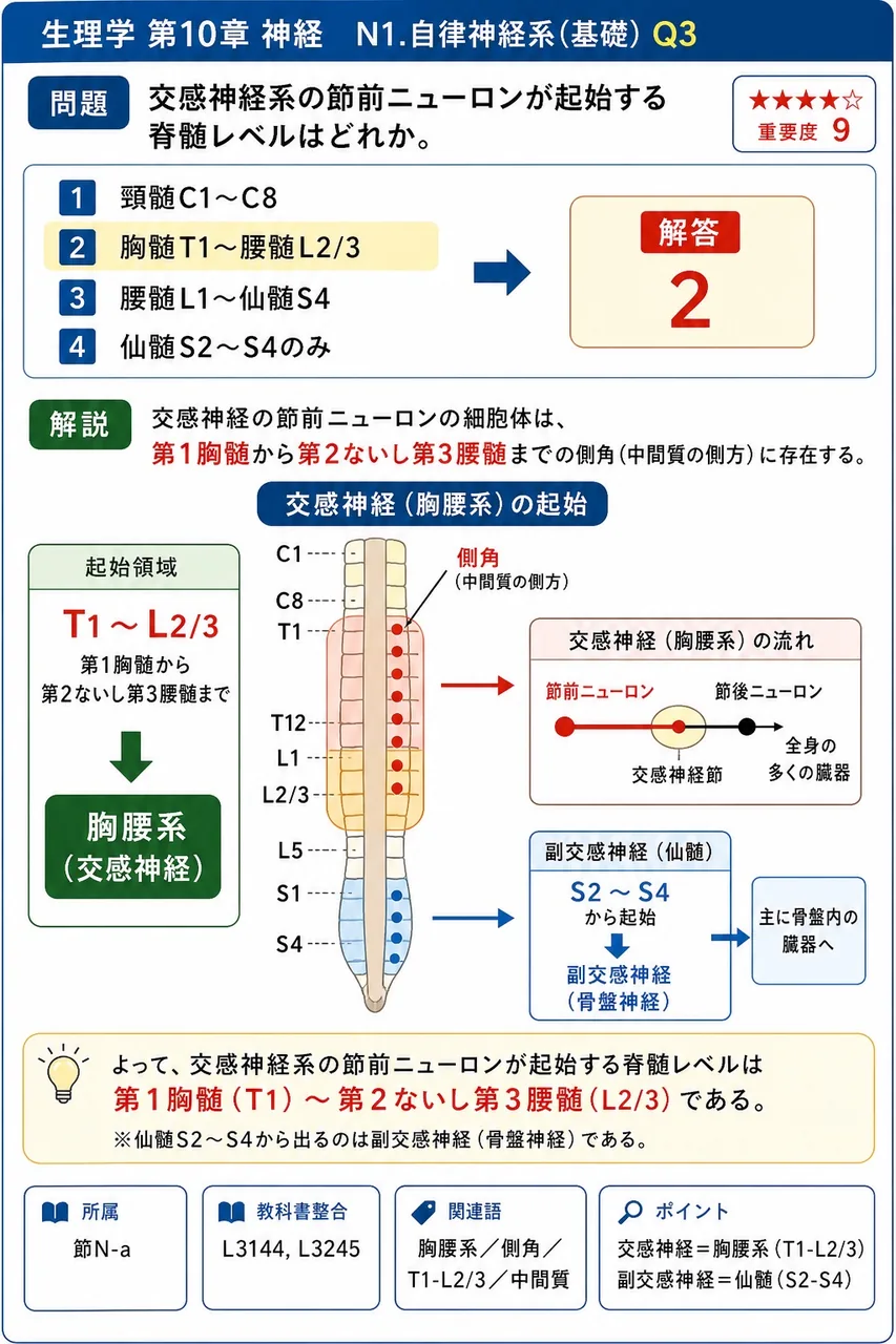 交感神経系の節前ニューロンが起始する脊髄レベルはどれか。 解説図