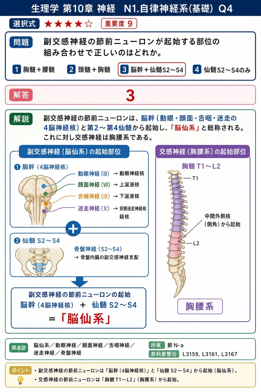副交感神経の節前ニューロンが起始する部位の組み合わせで正しいのはどれか。 解説図