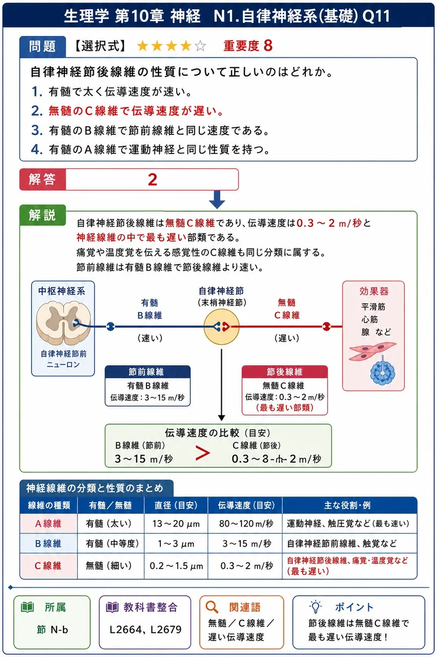 自律神経節後線維の性質について正しいのはどれか。 解説図