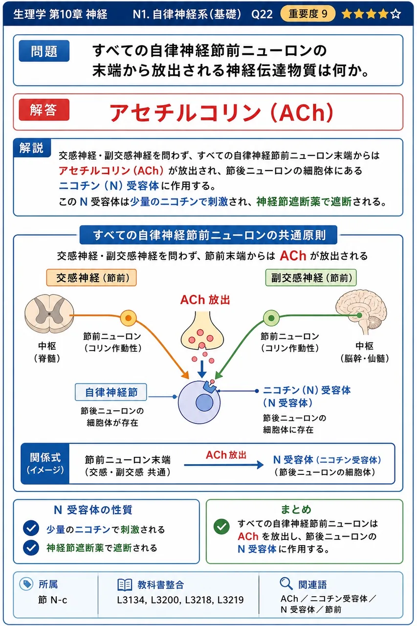 すべての自律神経節前ニューロンの末端から放出される神経伝達物質は何か。 解説図