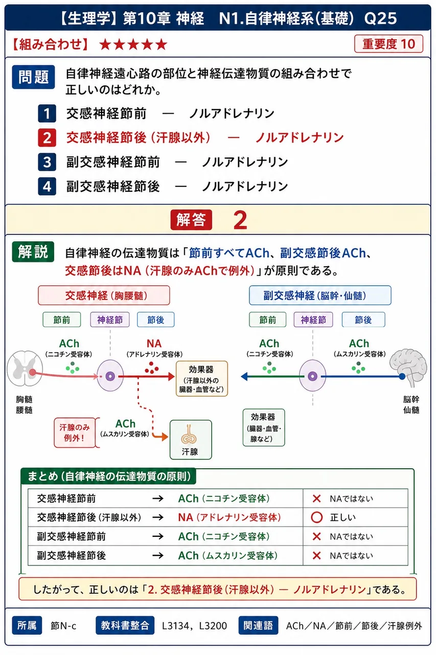 自律神経遠心路の部位と神経伝達物質の組み合わせで正しいのはどれか。 解説図
