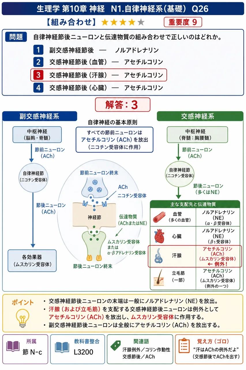 自律神経節後ニューロンと伝達物質の組み合わせで正しいのはどれか。 解説図