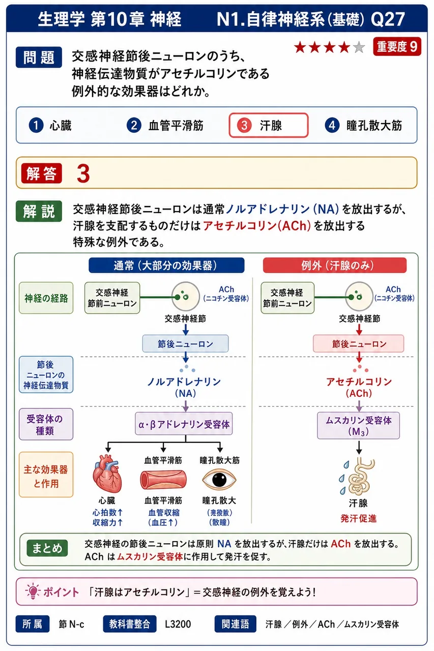 交感神経節後ニューロンのうち、神経伝達物質がアセチルコリンである例外的な効果器はどれか。 解説図