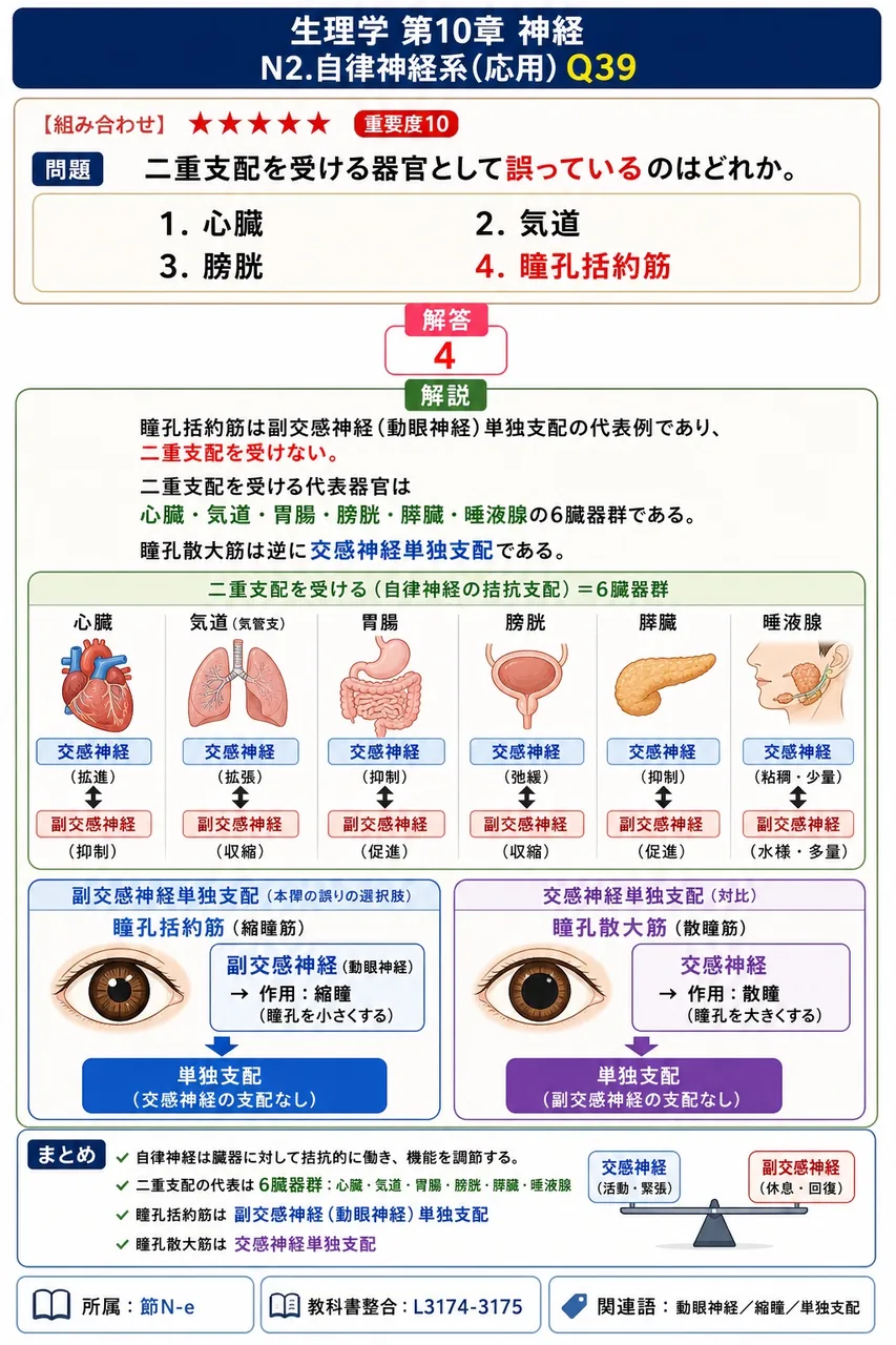 二重支配を受ける器官として**誤っている**のはどれか。 解説図