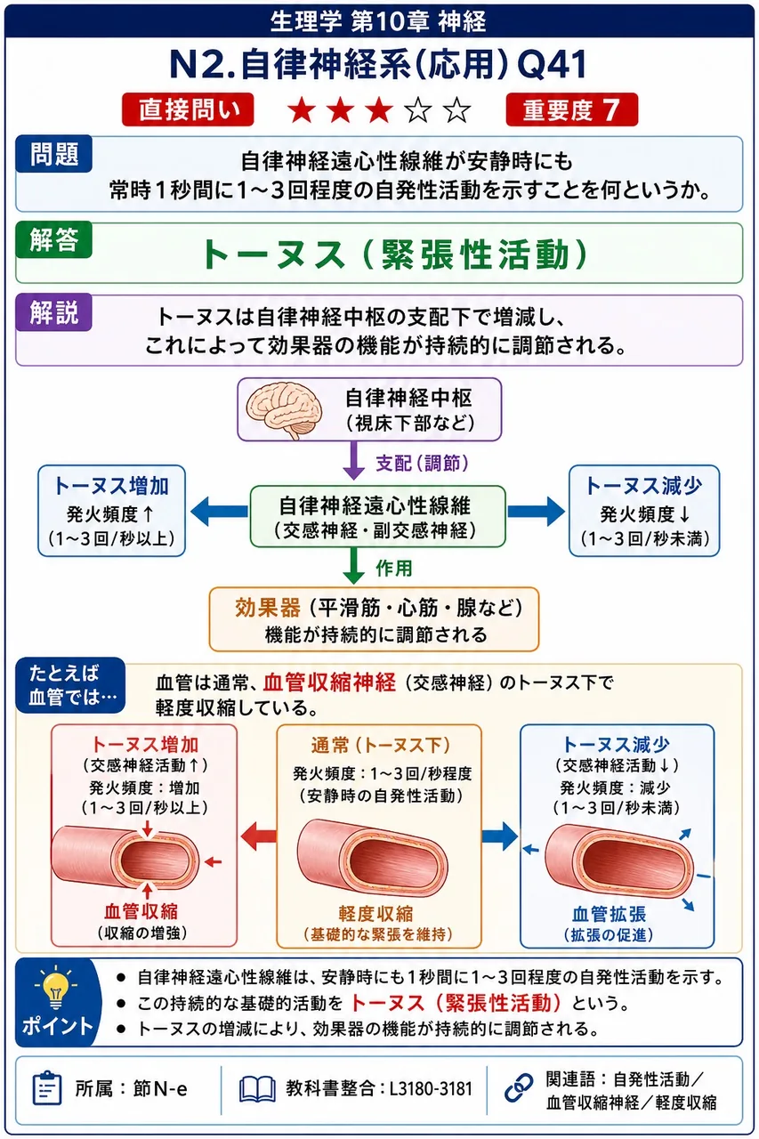 自律神経遠心性線維が安静時にも常時1秒間に1〜3回程度の自発性活動を示すことを何というか。 解説図