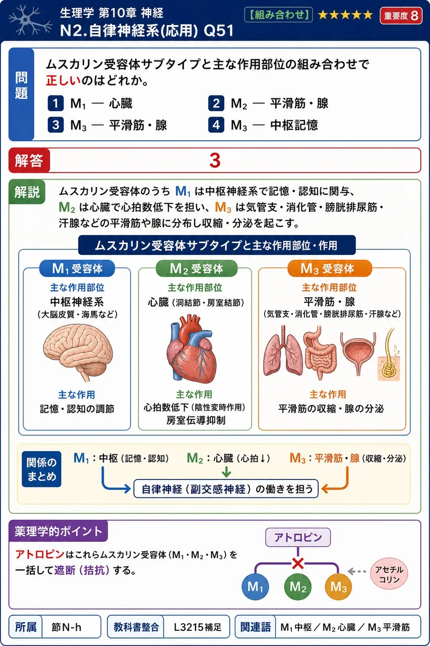 ムスカリン受容体サブタイプと主な作用部位の組み合わせで**正しい**のはどれか。 解説図