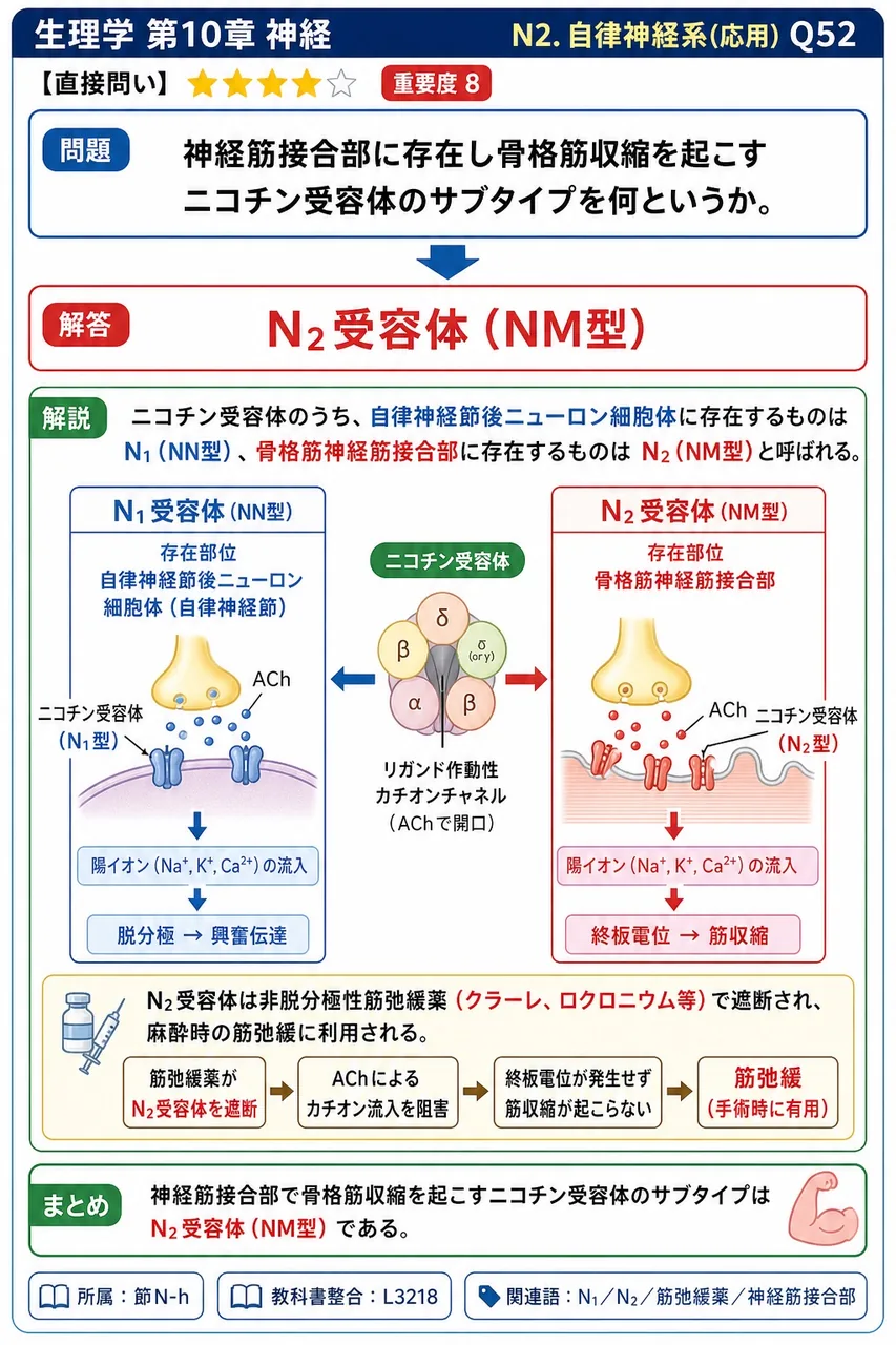 神経筋接合部に存在し骨格筋収縮を起こすニコチン受容体のサブタイプを何というか。 解説図