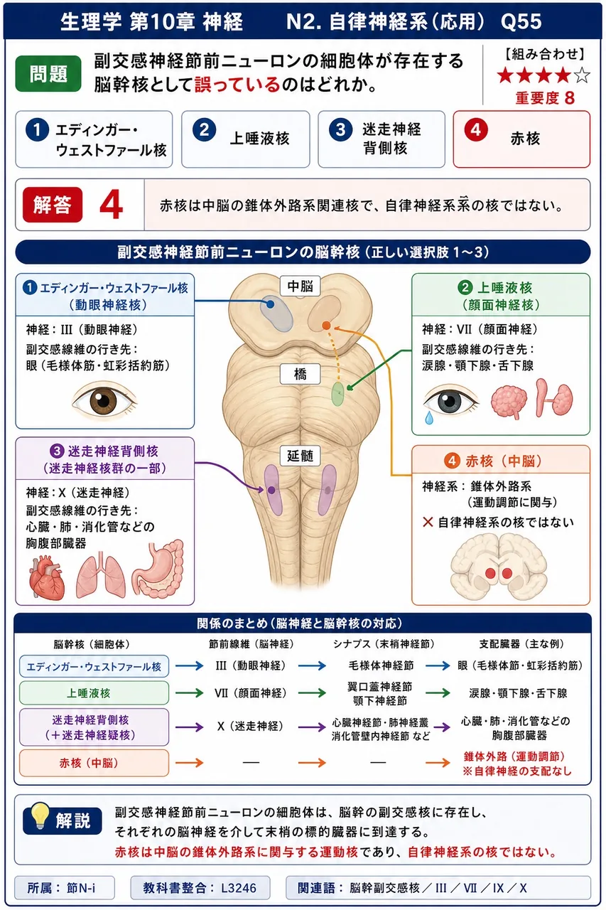 副交感神経節前ニューロンの細胞体が存在する脳幹核として**誤っている**のはどれか。 解説図