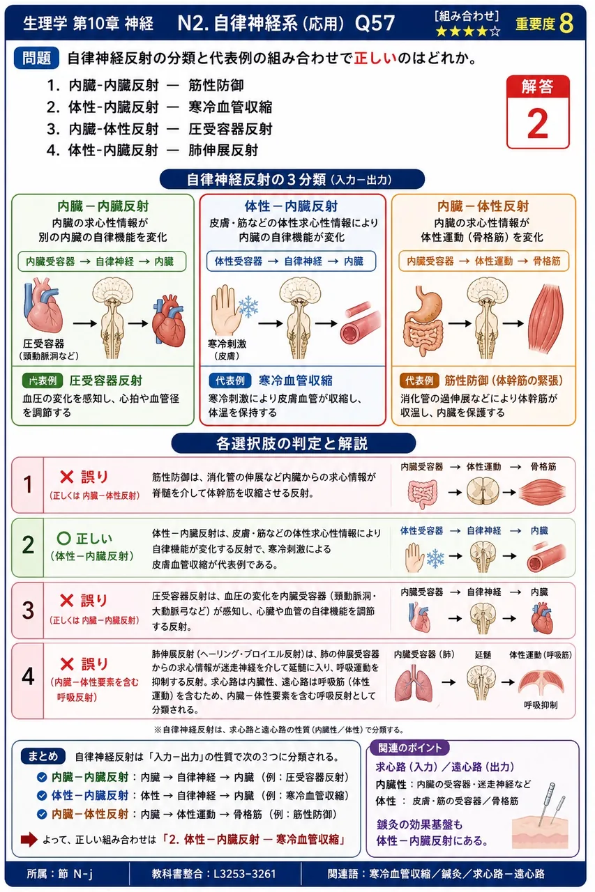 自律神経反射の分類と代表例の組み合わせで**正しい**のはどれか。 解説図