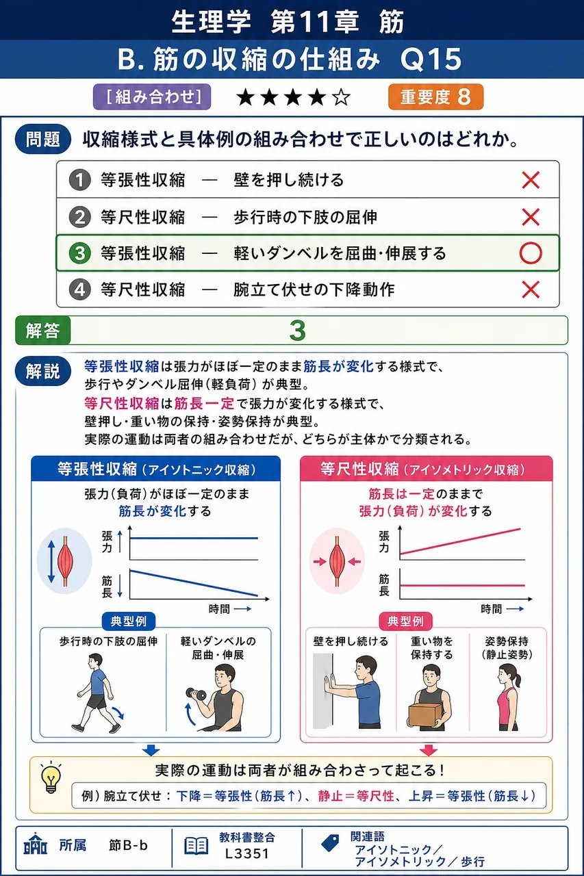 収縮様式と具体例の組み合わせで正しいのはどれか。 解説図