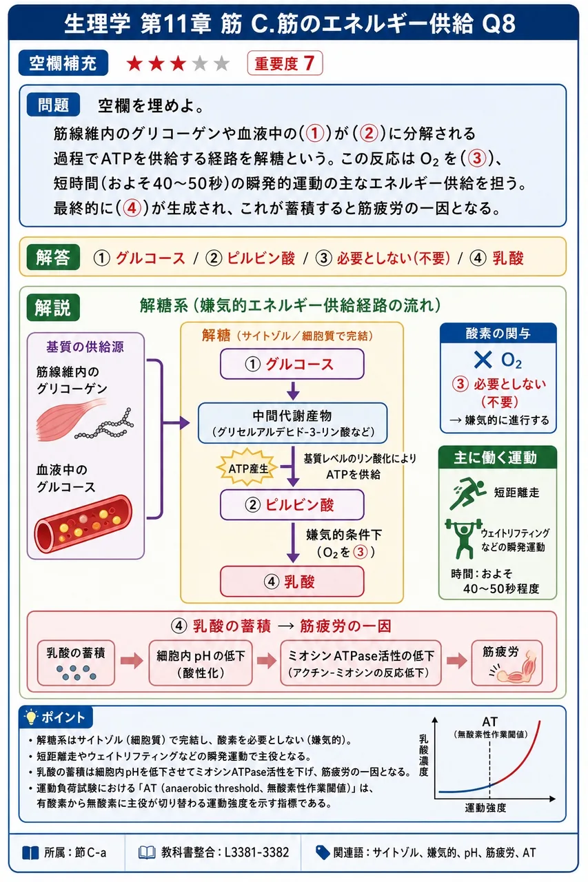 空欄を埋めよ。 筋線維内のグリコーゲンや血液中の(①)が(②)に分解される過程でATPを供給する経路を解糖という。この反応はO₂を(③)、短時間(およそ40〜50秒)の瞬発的運動の主なエネルギー供給を担う。最終的に(④)が生成され、これが蓄積すると筋疲労の一因となる。 解説図
