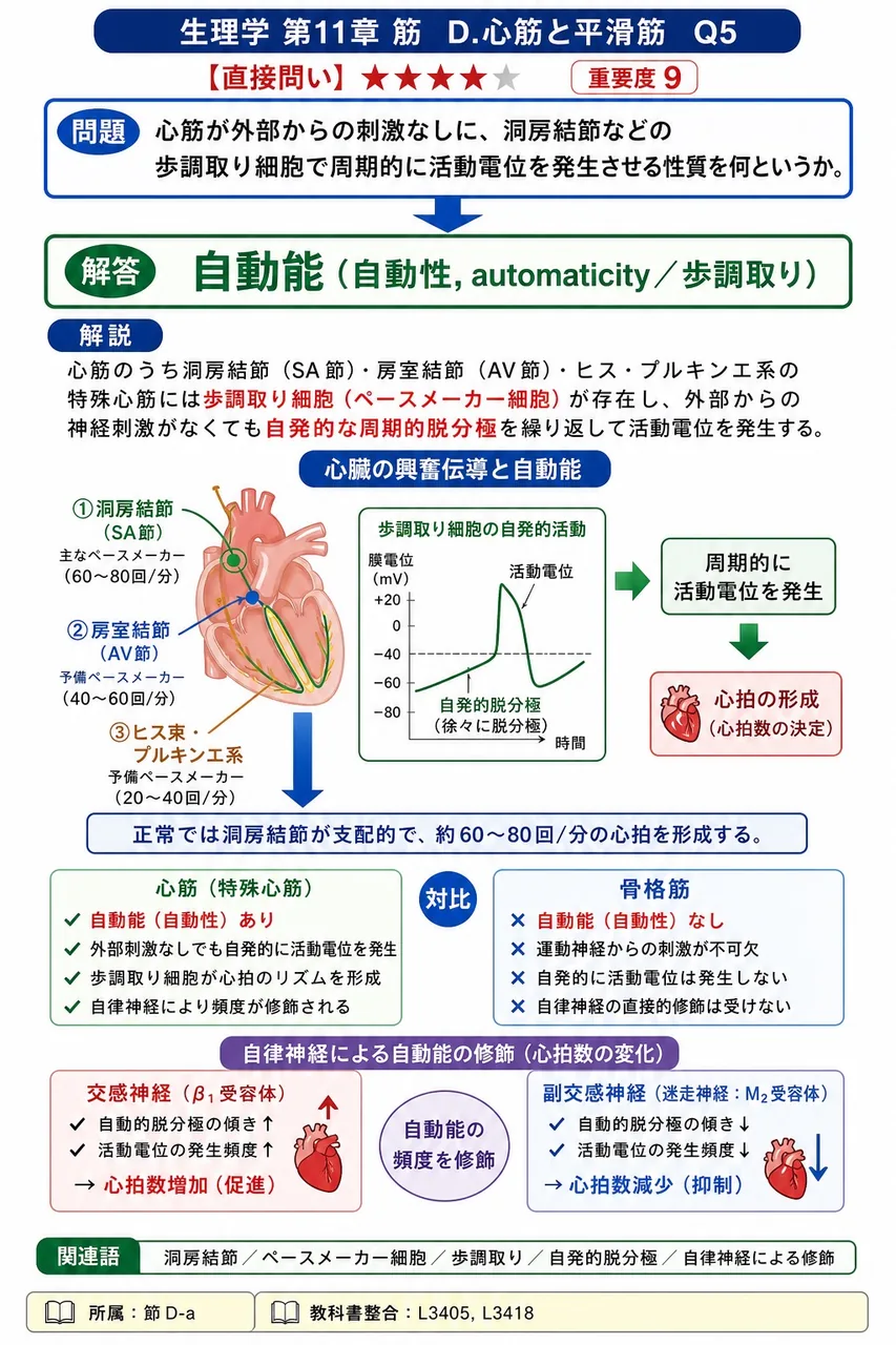 心筋が外部からの刺激なしに、洞房結節などの歩調取り細胞で周期的に活動電位を発生させる性質を何というか。 解説図