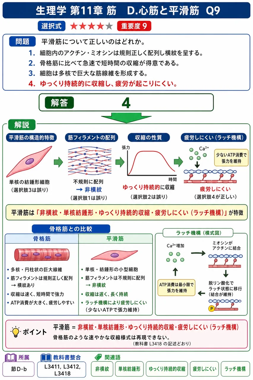 平滑筋について正しいのはどれか。 解説図