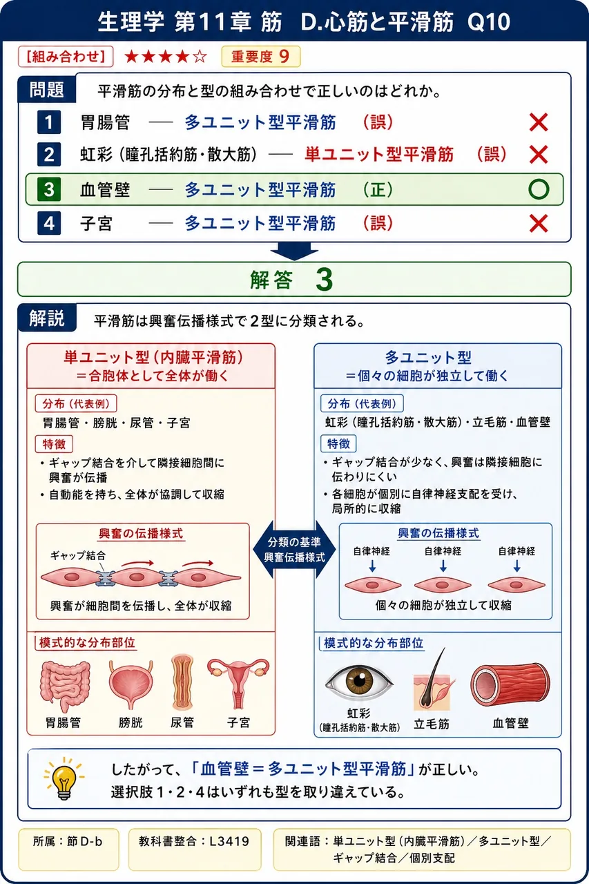 平滑筋の分布と型の組み合わせで正しいのはどれか。 解説図