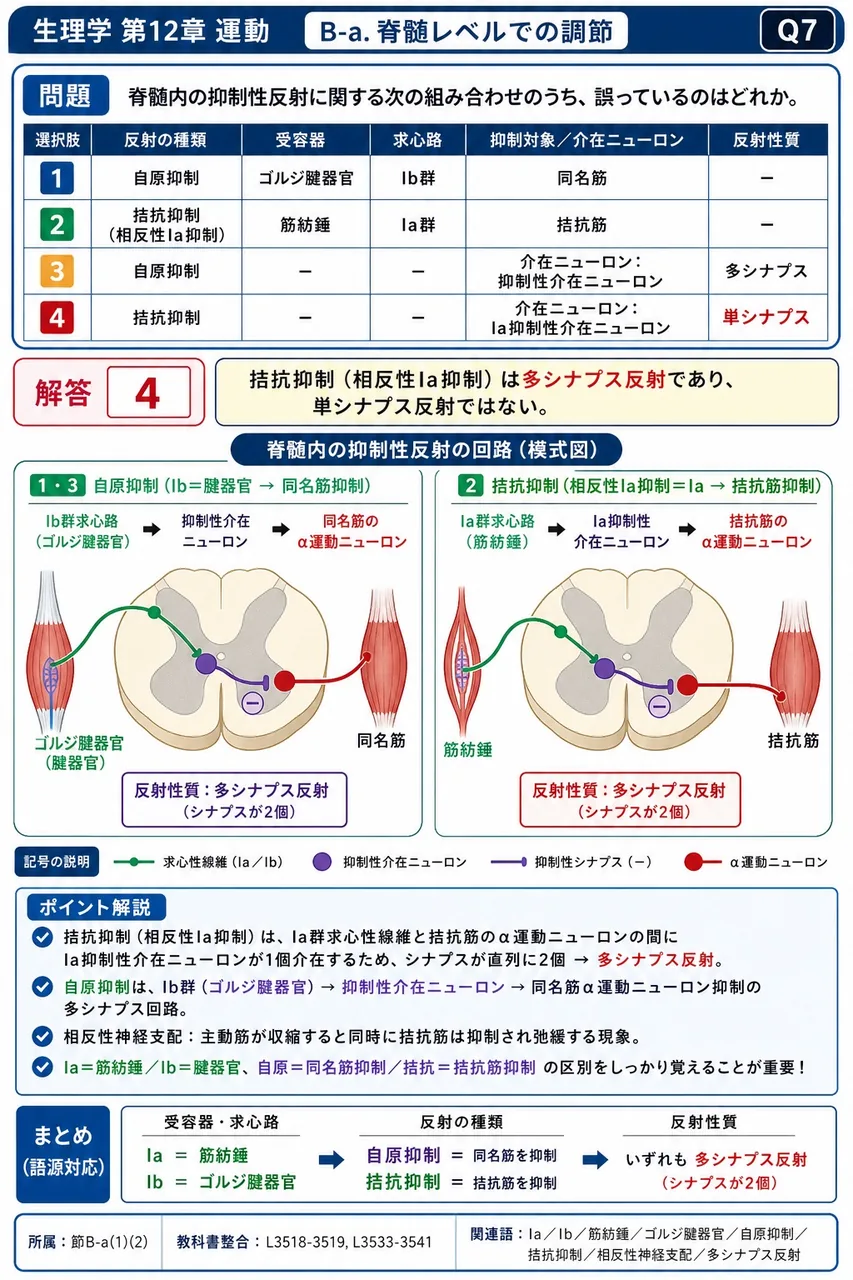 脊髄内の抑制性反射に関する次の組み合わせのうち、誤っているのはどれか。 解説図