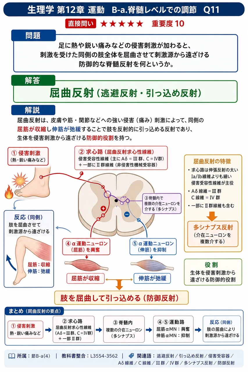 足に熱や鋭い痛みなどの侵害刺激が加わると、刺激を受けた同側の肢全体を屈曲させて刺激源から遠ざける防御的な脊髄反射を何というか。 解説図