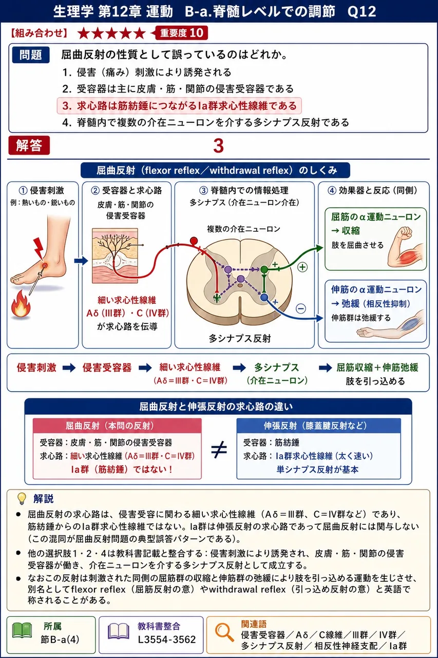 屈曲反射の性質として誤っているのはどれか。 解説図