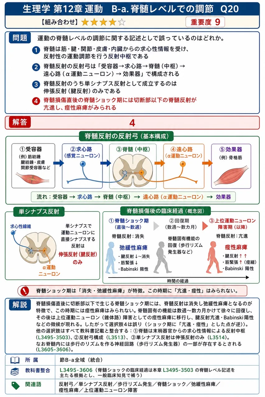 運動の脊髄レベルの調節に関する記述として誤っているのはどれか。 解説図