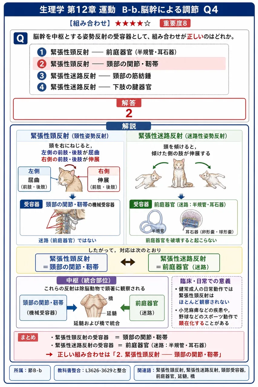 脳幹を中枢とする姿勢反射の受容器として、組み合わせが**正しい**のはどれか。 解説図
