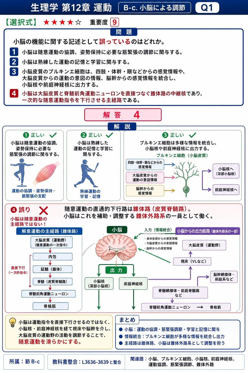 小脳の機能に関する記述として**誤っている**のはどれか。 解説図