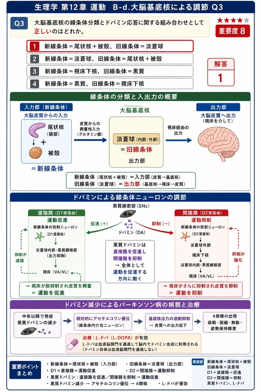 大脳基底核の線条体分類とドパミン応答に関する組み合わせとして**正しい**のはどれか。 解説図
