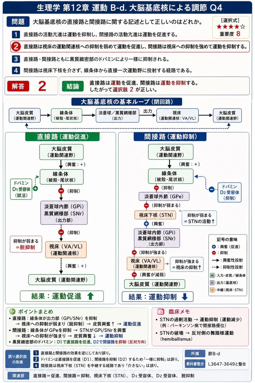 大脳基底核の直接路と間接路に関する記述として**正しい**のはどれか。 解説図