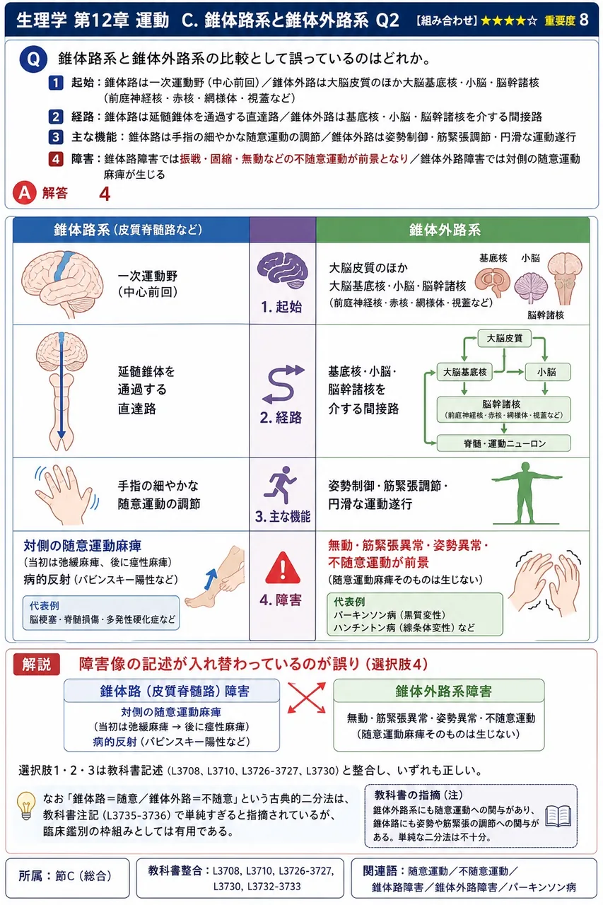 錐体路系と錐体外路系の比較として誤っているのはどれか。 解説図