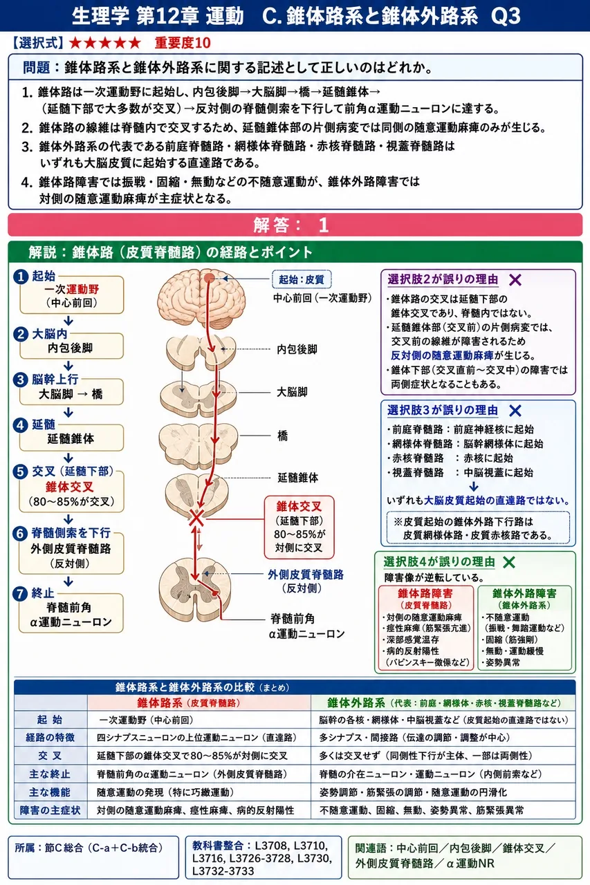 錐体路系と錐体外路系に関する記述として正しいのはどれか。 解説図