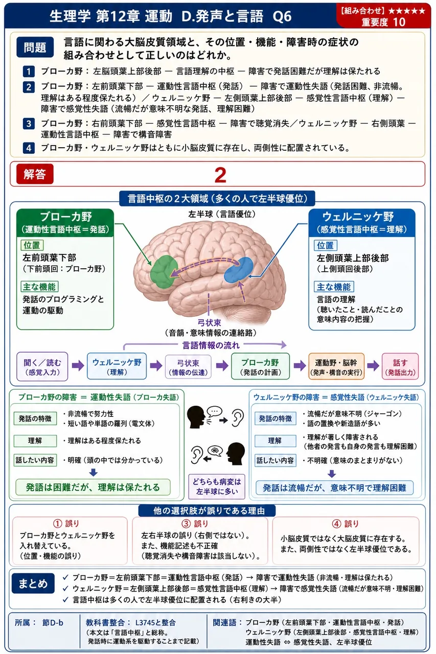 言語に関わる大脳皮質領域と、その位置・機能・障害時の症状の組み合わせとして正しいのはどれか。 解説図