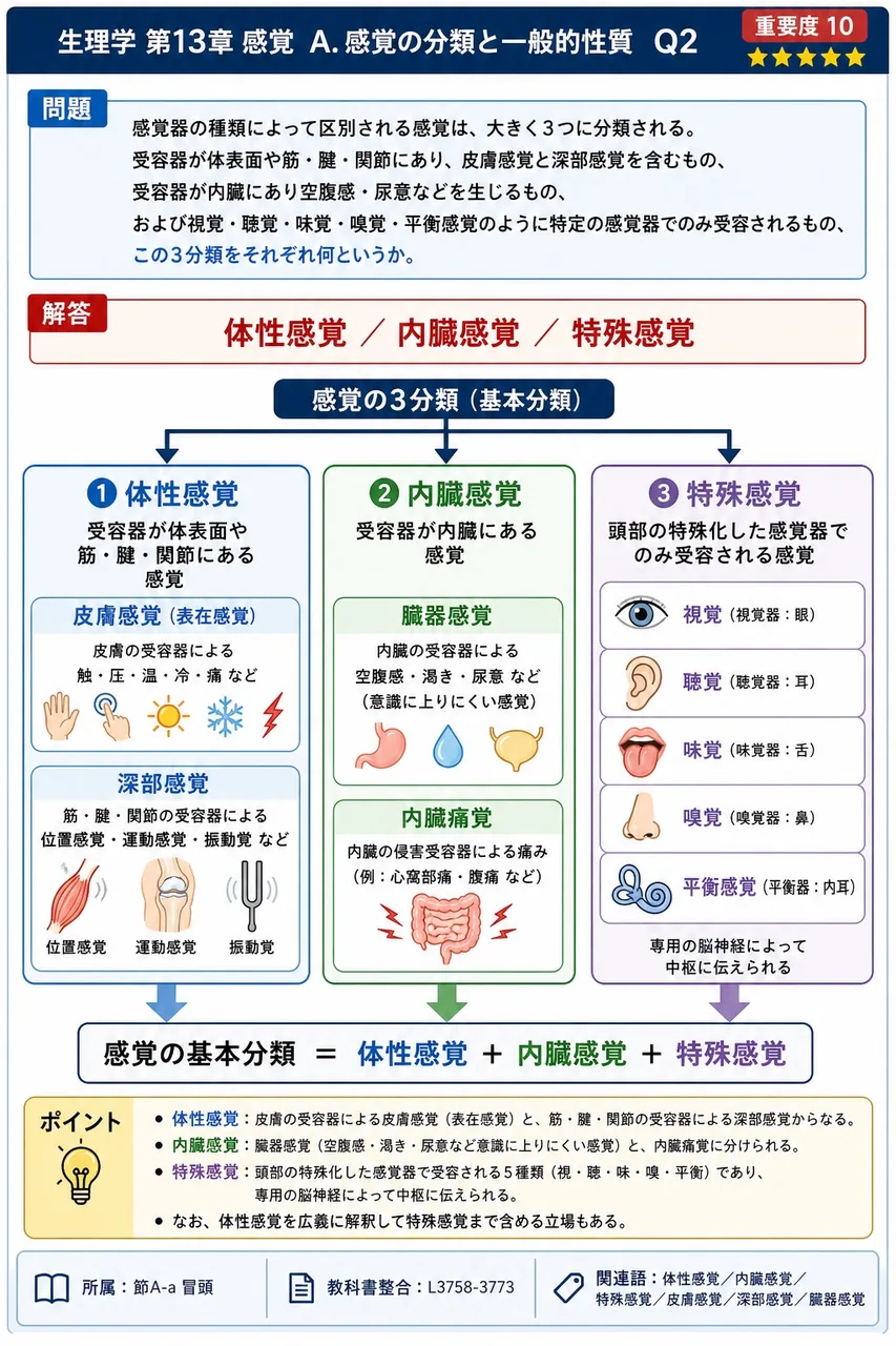 感覚器の種類によって区別される感覚は、大きく3つに分類される。受容器が体表面や筋・腱・関節にあり、皮膚感覚と深部感覚を含むもの、受容器が内臓にあり空腹感・尿意などを生じるもの、および視覚・聴覚・味覚・嗅覚・平衡感覚のように特定の感覚器でのみ受容されるもの、この3分類をそれぞれ何というか。 解説図