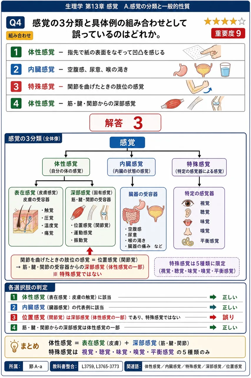 感覚の3分類と具体例の組み合わせとして誤っているのはどれか。 解説図