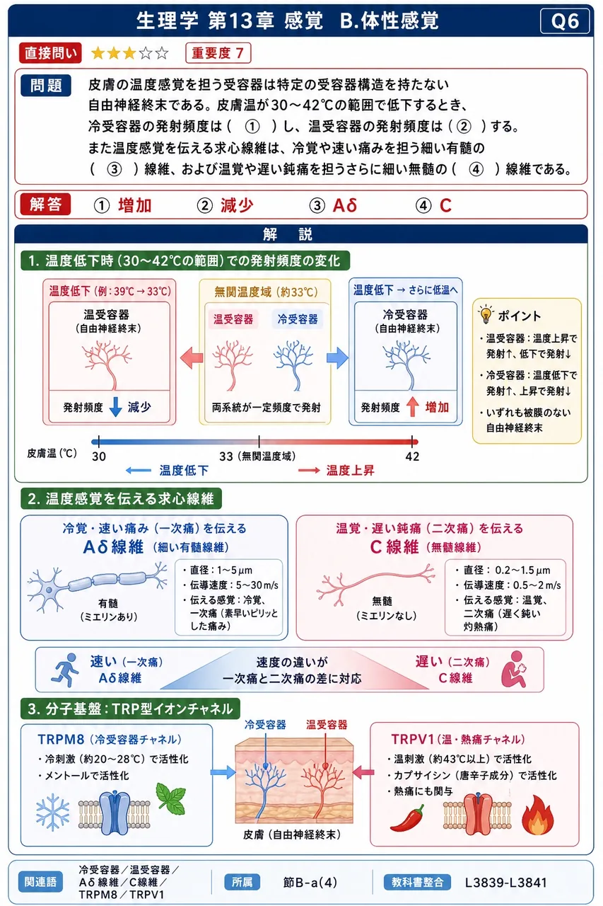 皮膚の温度感覚を担う受容器は特定の受容器構造を持たない自由神経終末である。皮膚温が30〜42℃の範囲で低下するとき、冷受容器の発射頻度は（ ① ）し、温受容器の発射頻度は（ ② ）する。また温度感覚を伝える求心線維は、冷覚や速い痛みを担う細い有髄の（ ③ ）線維、および温覚や遅い鈍痛を担うさらに細い無髄の（ ④ ）線維である。 解説図