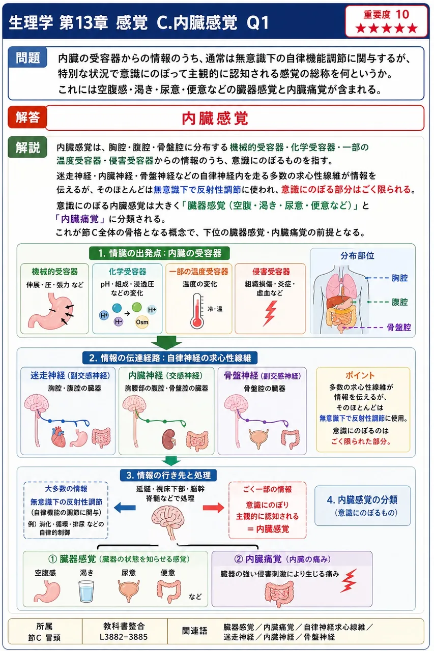内臓の受容器からの情報のうち、通常は無意識下の自律機能調節に関与するが、特別な状況で意識にのぼって主観的に認知される感覚の総称を何というか。これには空腹感・渇き・尿意・便意などの臓器感覚と内臓痛覚が含まれる。 解説図
