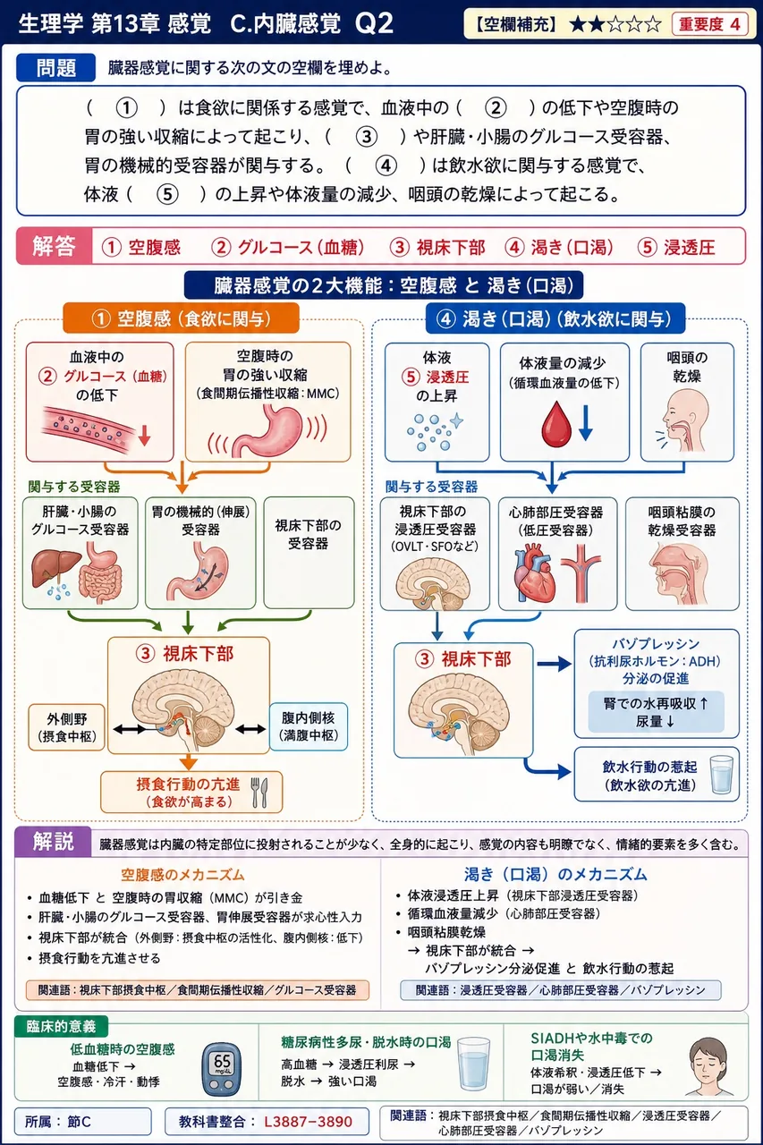 臓器感覚に関する次の文の空欄を埋めよ。 （ ① ）は食欲に関係する感覚で、血液中の（ ② ）の低下や空腹時の胃の強い収縮によって起こり、（ ③ ）や肝臓・小腸のグルコース受容器、胃の機械的受容器が関与する。（ ④ ）は飲水欲に関与する感覚で、体液（ ⑤ ）の上昇や体液量の減少、咽頭の乾燥によって起こる。 解説図
