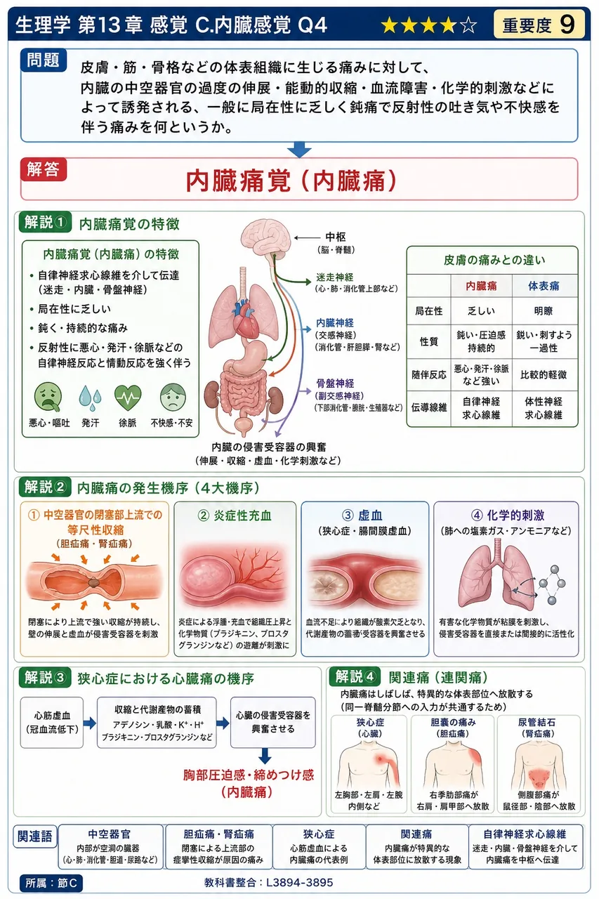 皮膚・筋・骨格などの体表組織に生じる痛みに対して、内臓の中空器官の過度の伸展・能動的収縮・血流障害・化学的刺激などによって誘発される、一般に局在性に乏しく鈍痛で反射性の吐き気や不快感を伴う痛みを何というか。 解説図