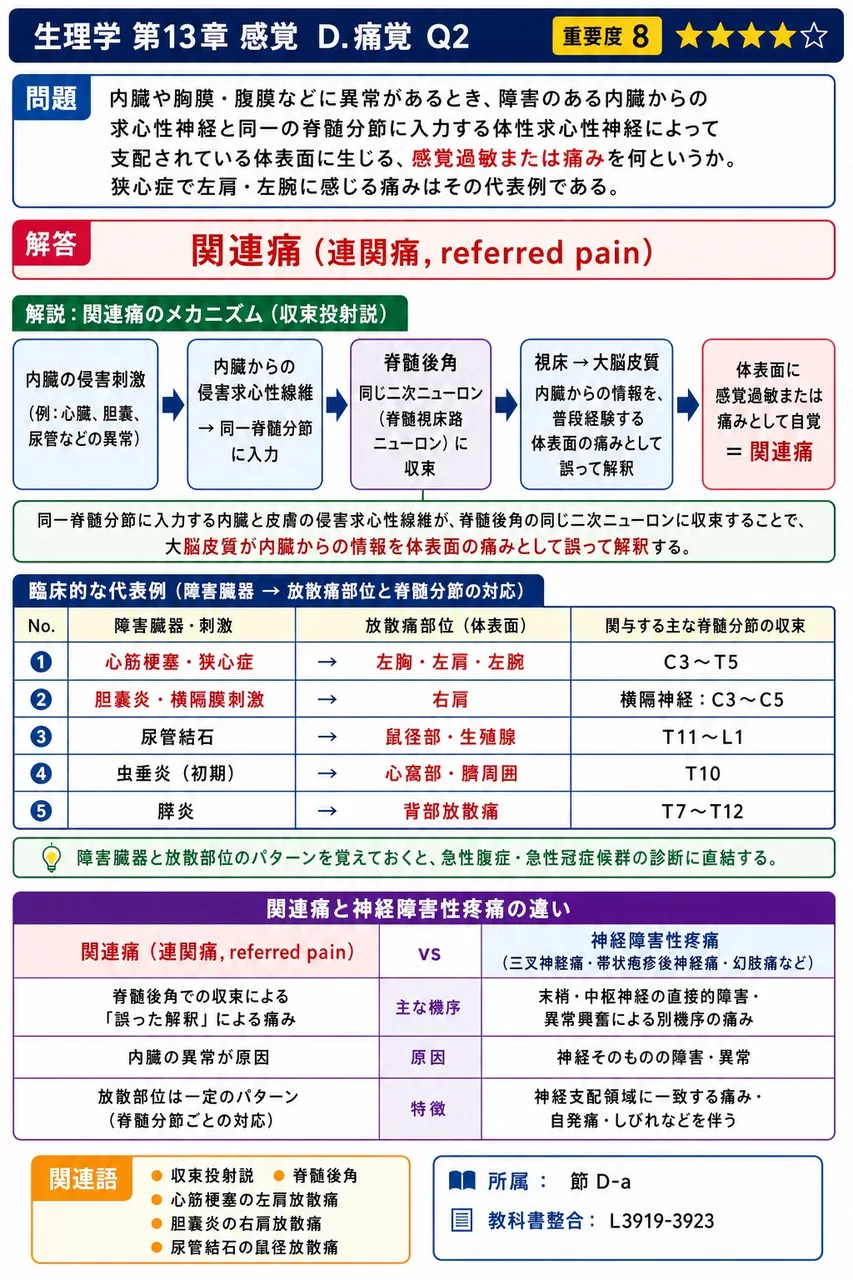 内臓や胸膜・腹膜などに異常があるとき、障害のある内臓からの求心性神経と同一の脊髄分節に入力する体性求心性神経によって支配されている体表面に生じる、感覚過敏または痛みを何というか。狭心症で左肩・左腕に感じる痛みはその代表例である。 解説図