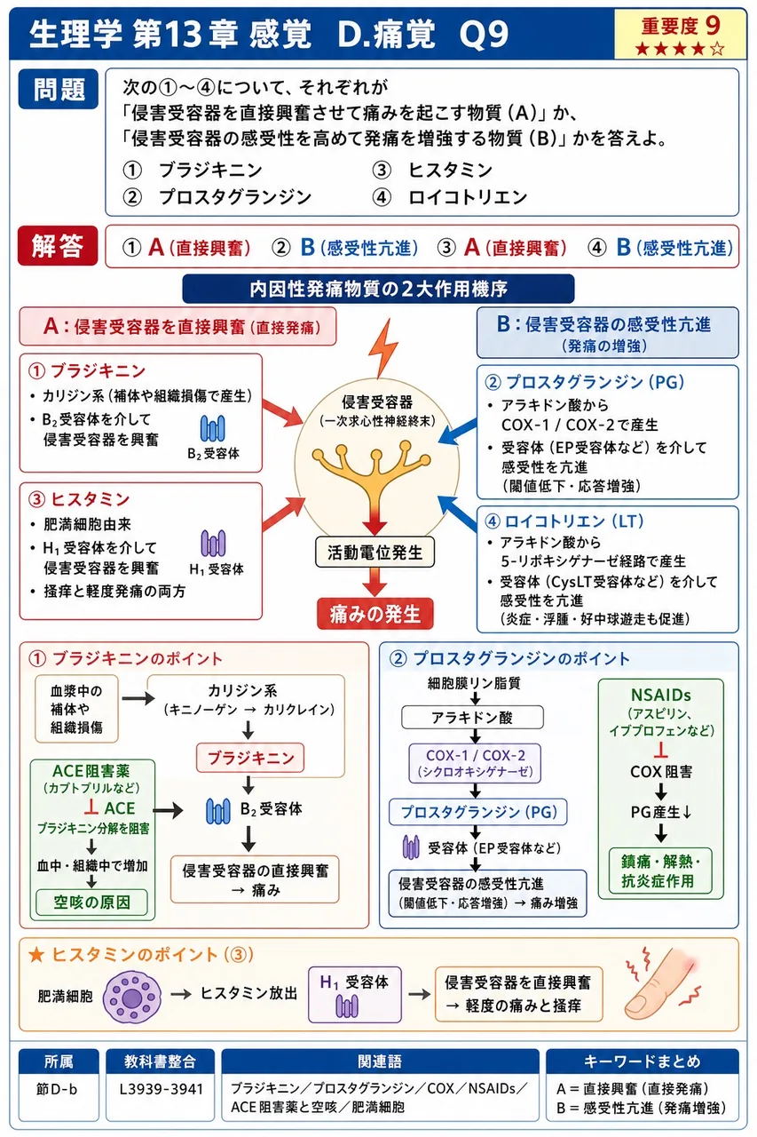 次の①〜④について、それぞれが「侵害受容器を直接興奮させて痛みを起こす物質(A)」か、「侵害受容器の感受性を高めて発痛を増強する物質(B)」かを答えよ。 ① ブラジキニン ② プロスタグランジン ③ ヒスタミン ④ ロイコトリエン 解説図