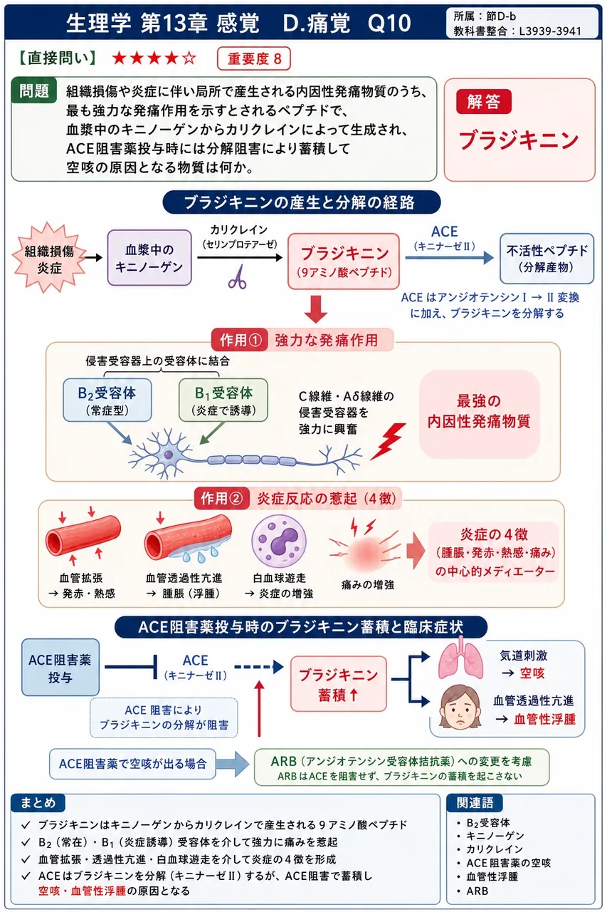 組織損傷や炎症に伴い局所で産生される内因性発痛物質のうち、最も強力な発痛作用を示すとされるペプチドで、血漿中のキニノーゲンからカリクレインによって生成され、ACE阻害薬投与時には分解阻害により蓄積して空咳の原因となる物質は何か。 解説図
