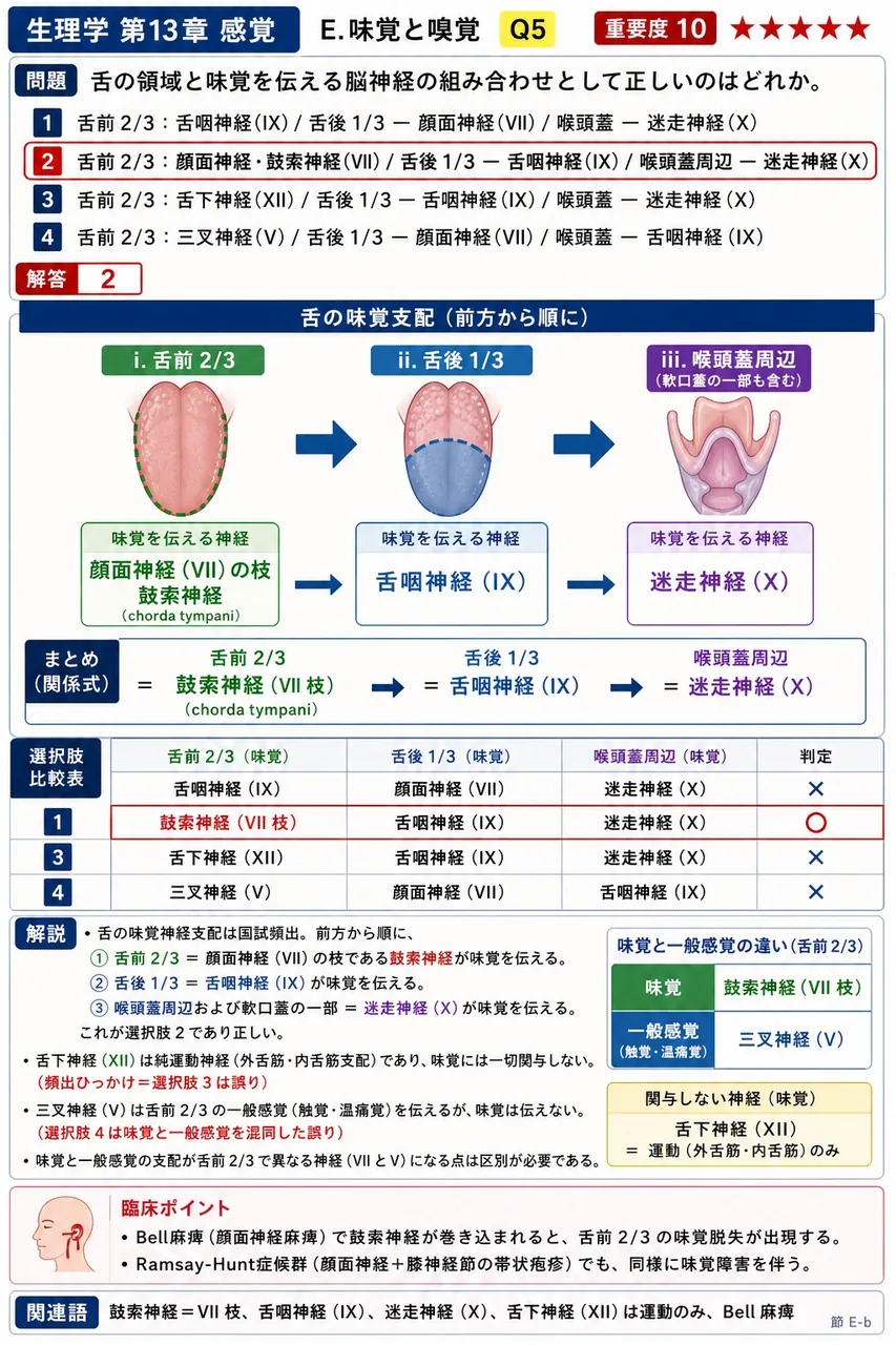 舌の領域と味覚を伝える脳神経の組み合わせとして正しいのはどれか。 解説図