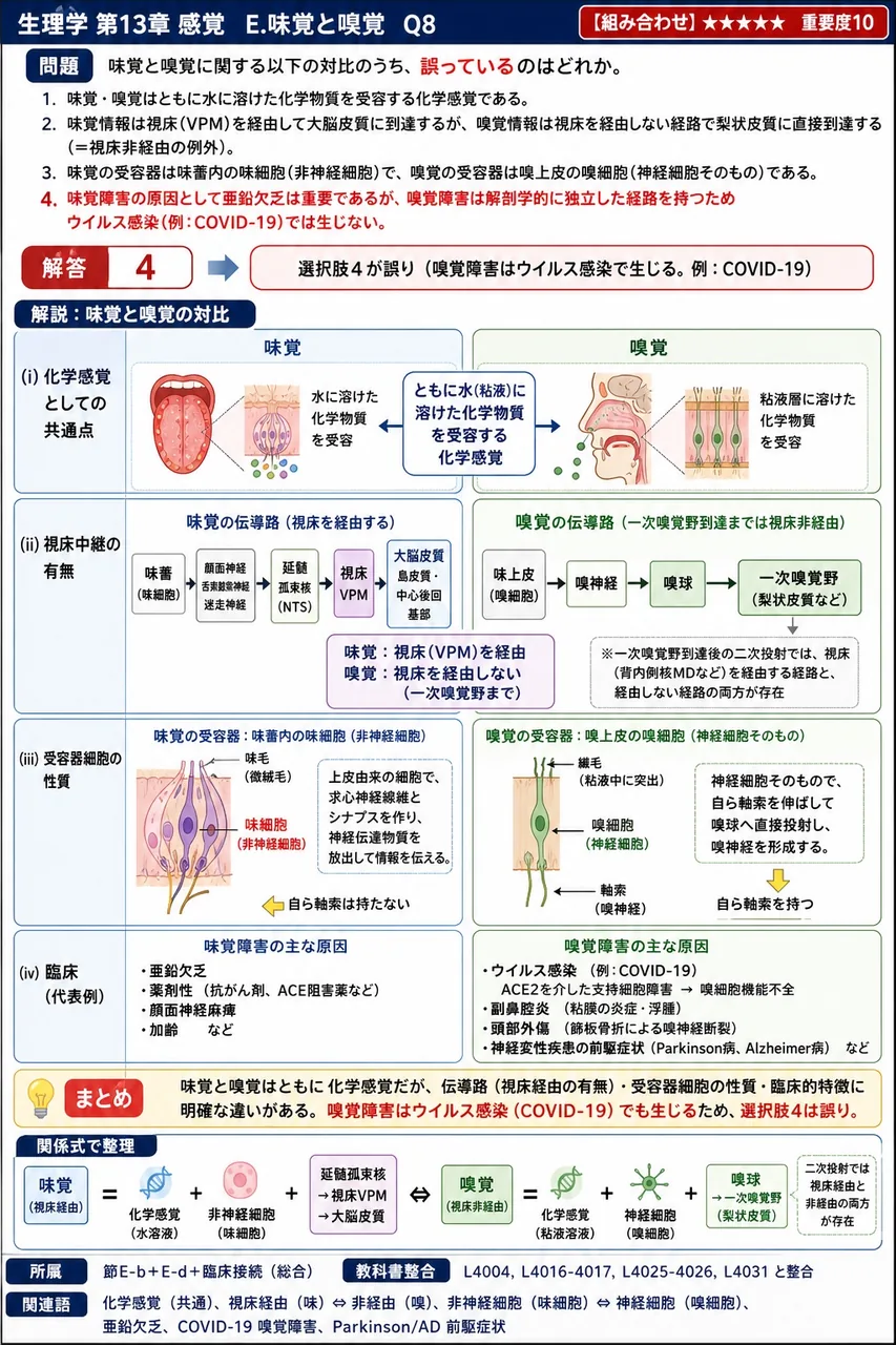 味覚と嗅覚に関する以下の対比のうち、**誤っている**のはどれか。 解説図