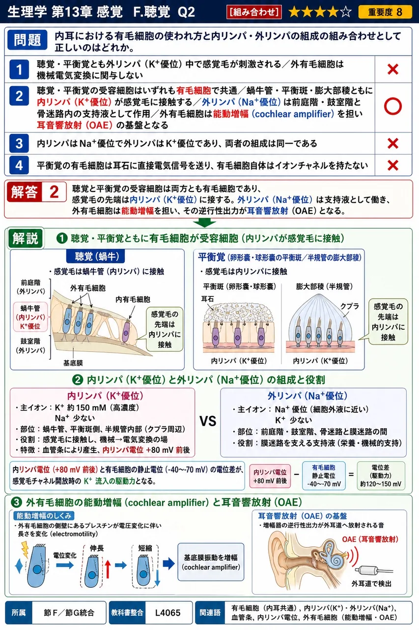 内耳における有毛細胞の使われ方と内リンパ・外リンパの組成の組み合わせとして正しいのはどれか。 解説図